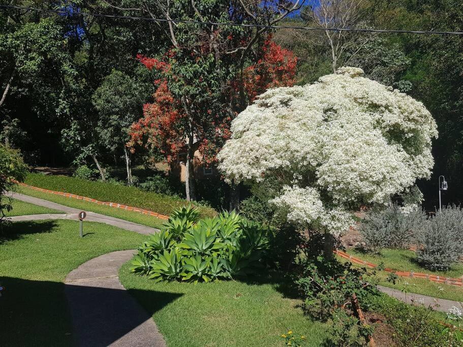 Recanto Dos Beija Flores, Chale Lantana B Monte Alegre do Sul Ngoại thất bức ảnh